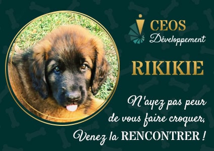 Rikikie, n'ayez pas peur de vous faire croquer, venez la rencontrer