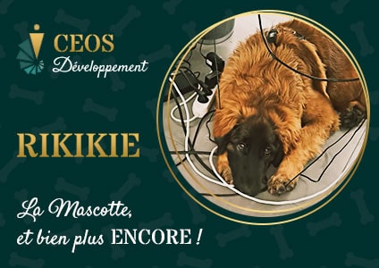 Rikikie mascotte du cabinet comptable CEOS Développement