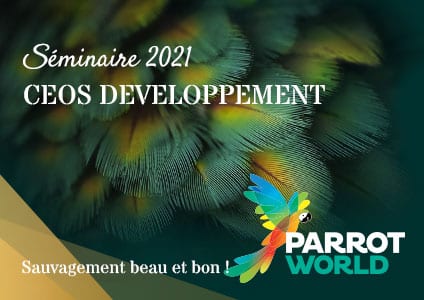 L'équipe d'expertise comptable en séminaire au Parrot World