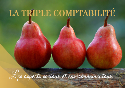 Les aspects sociaux et environnementaux de la triple comptabilité par CEOS Expertise